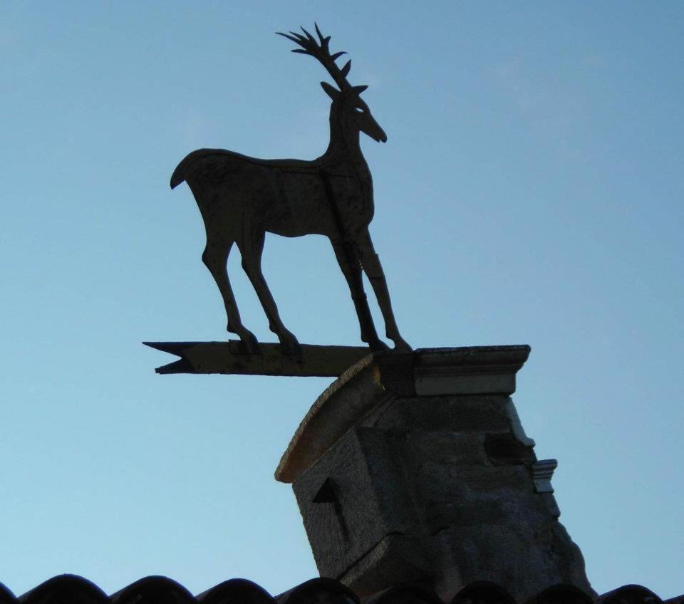 Molinos De Antero Hotel Monforte De Lemos Exterior foto